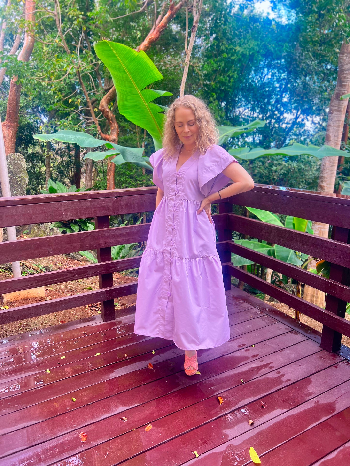 Clearance Jasmine Lilac dress