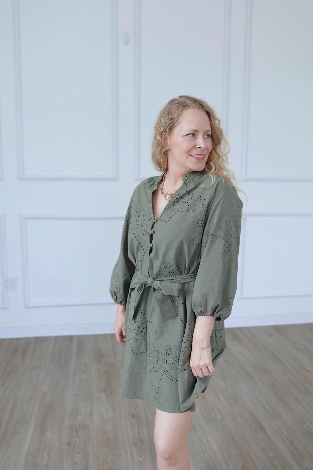Olive Embroidered Dress