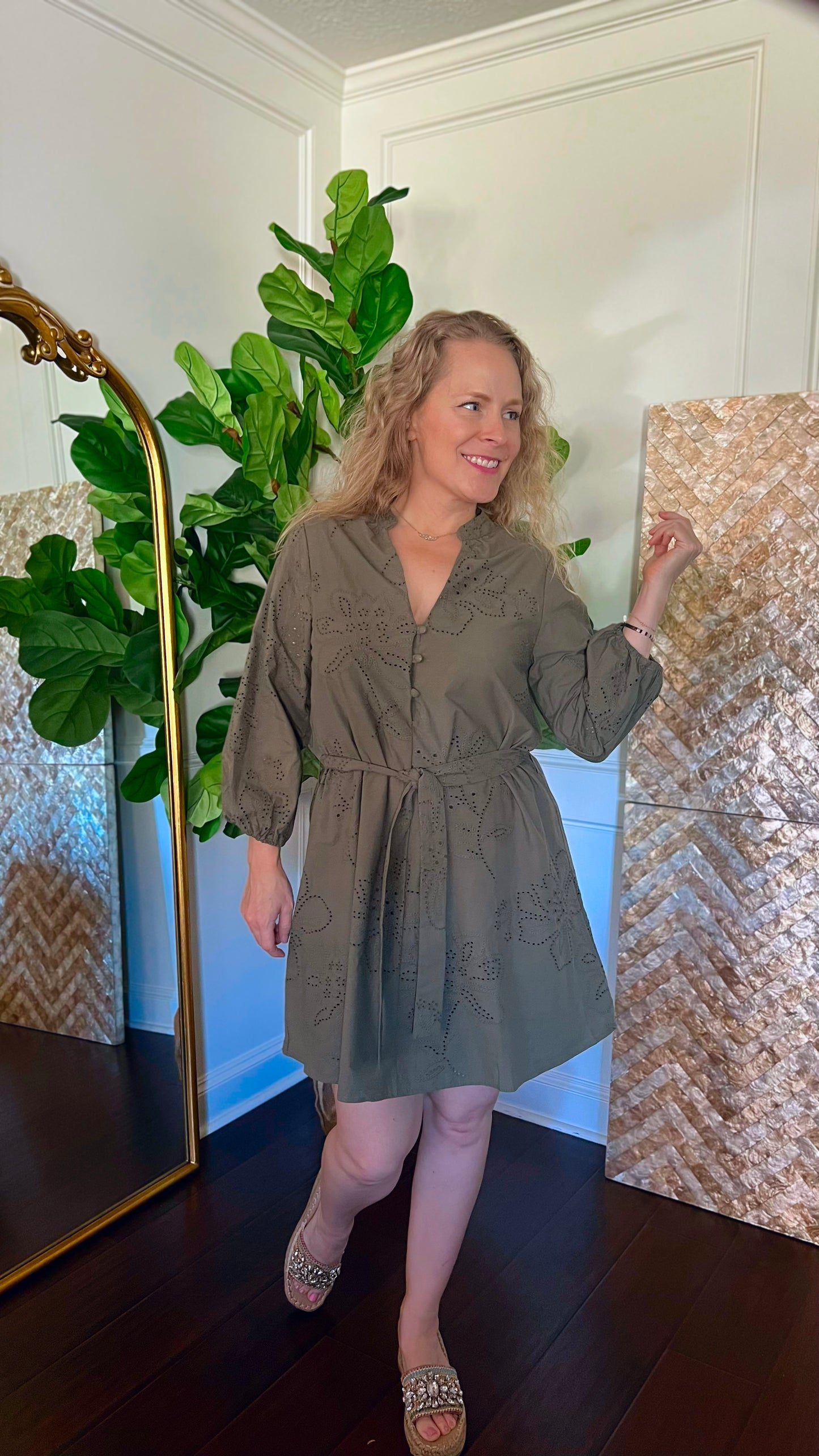 Olive Embroidered Dress