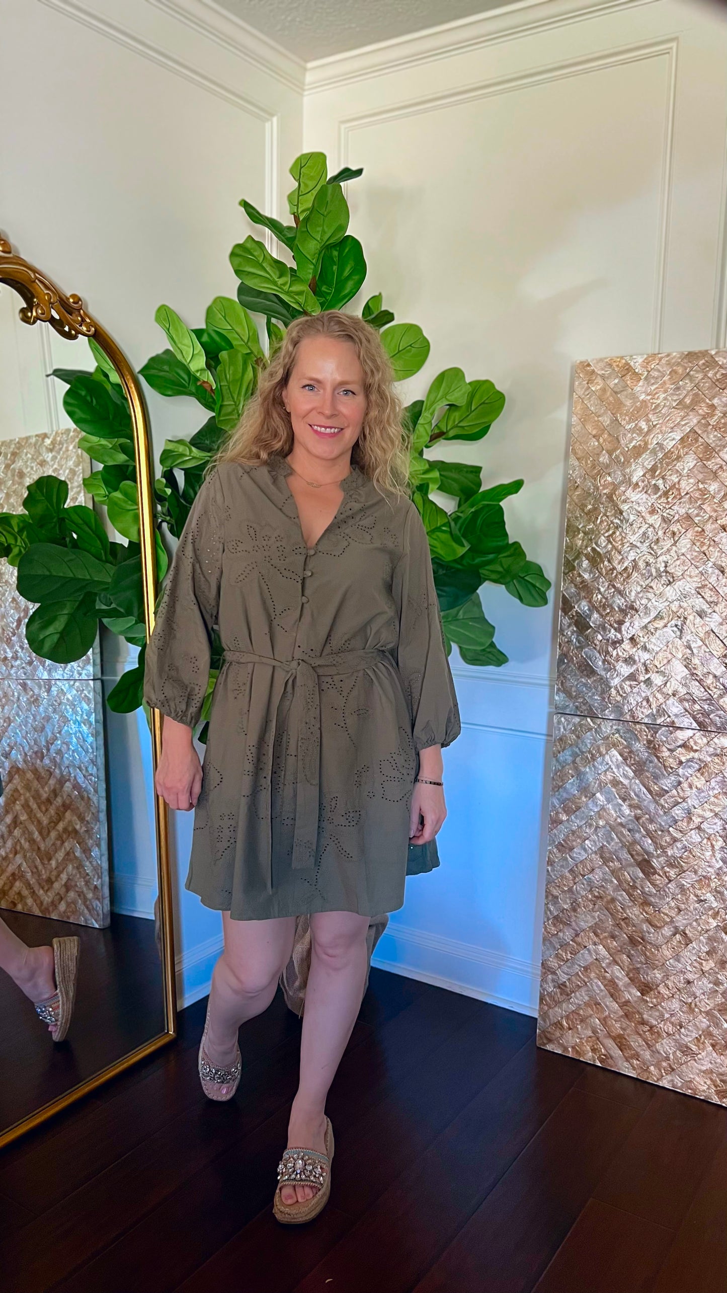 Olive Embroidered Dress
