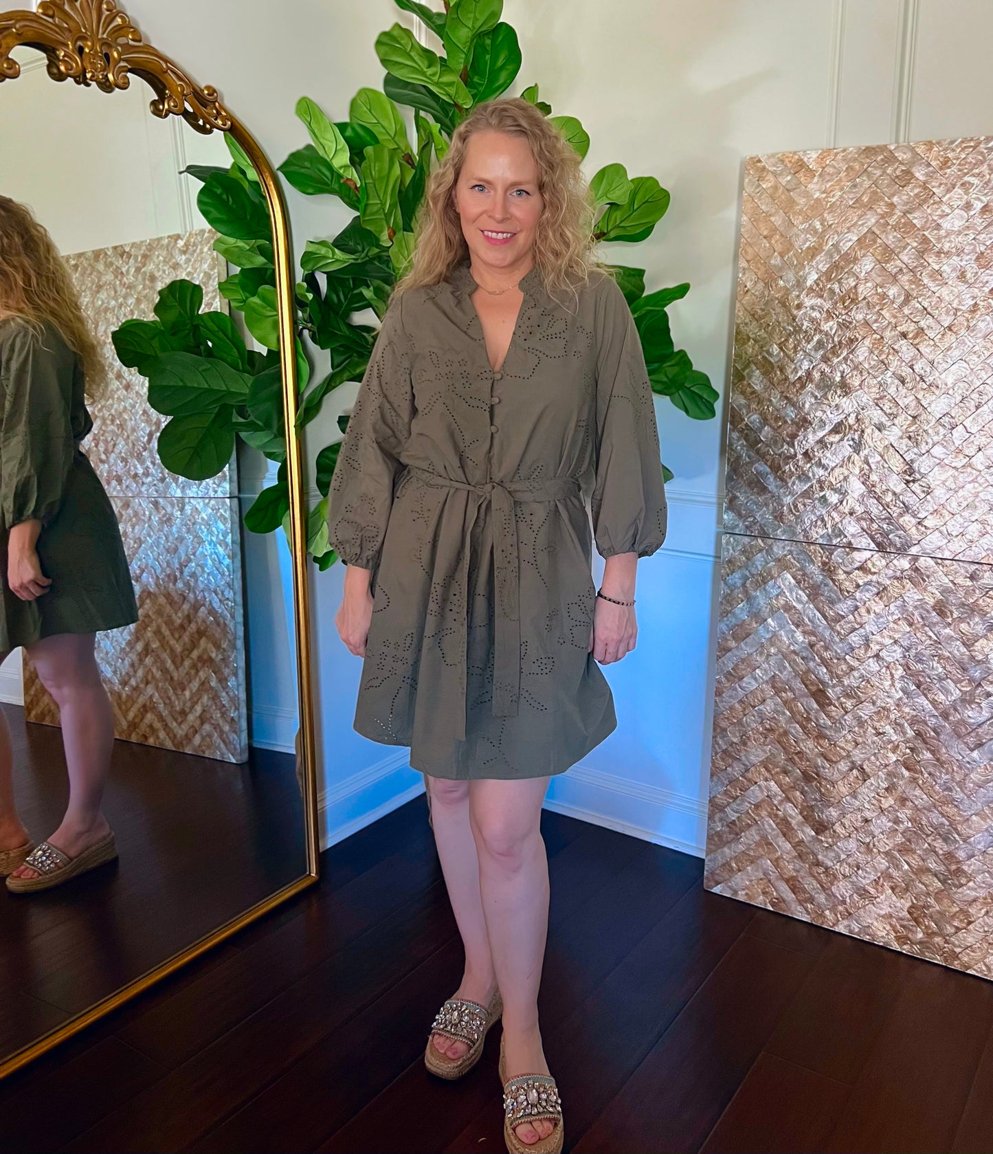Olive Embroidered Dress